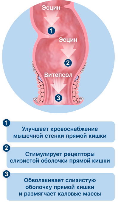 механизм-действия-препарата-ректактив-mob